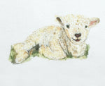 Lamb Infant Hat -1818